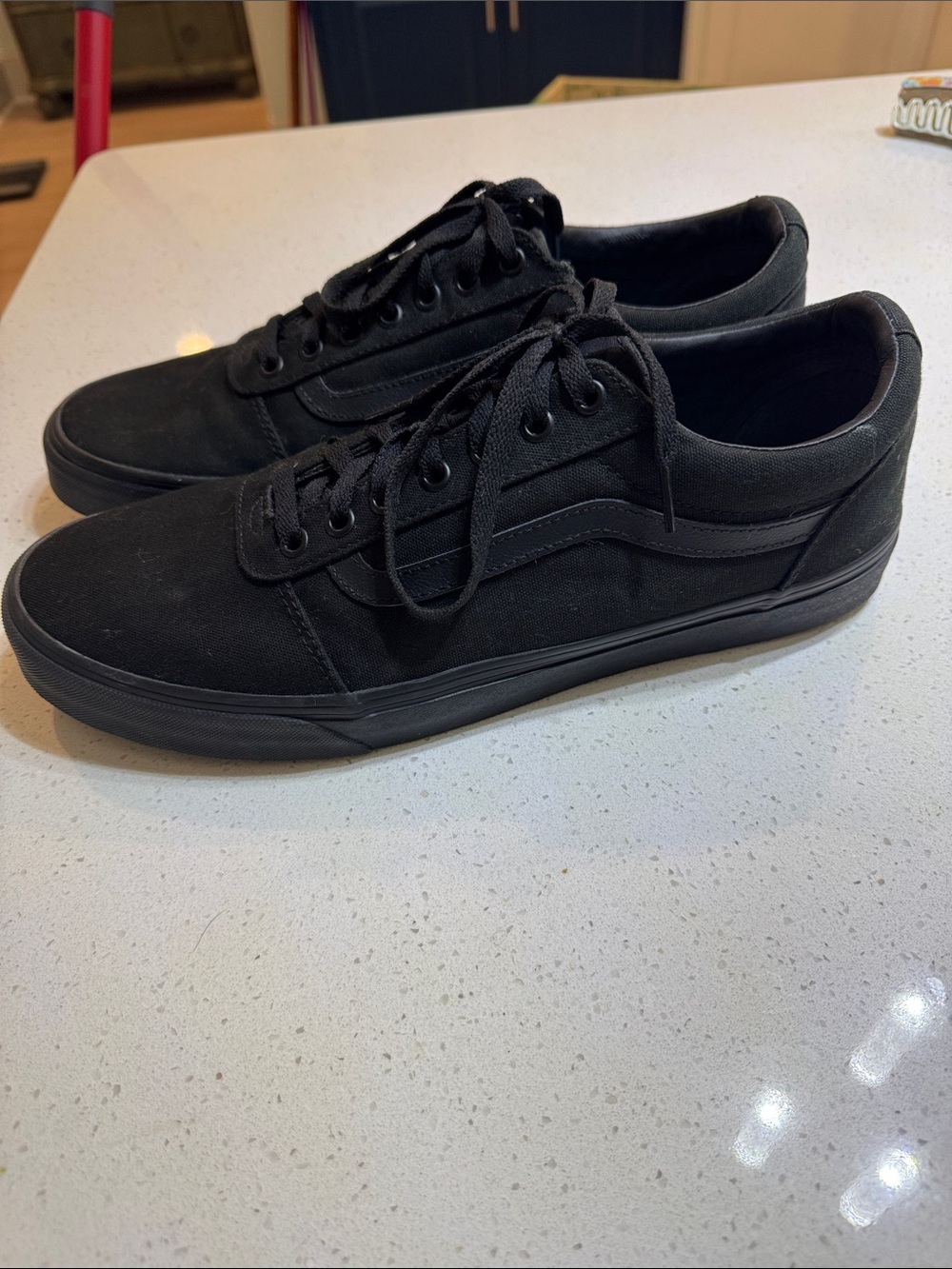 Vans All-Black Low-Top Canvas Sneakers